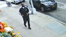 Man Attacks NYPD Traffic Agent Over 5th Ave Parking Ticket